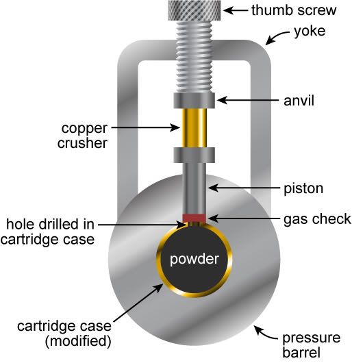 fir_m05_t10_01_large.jpg