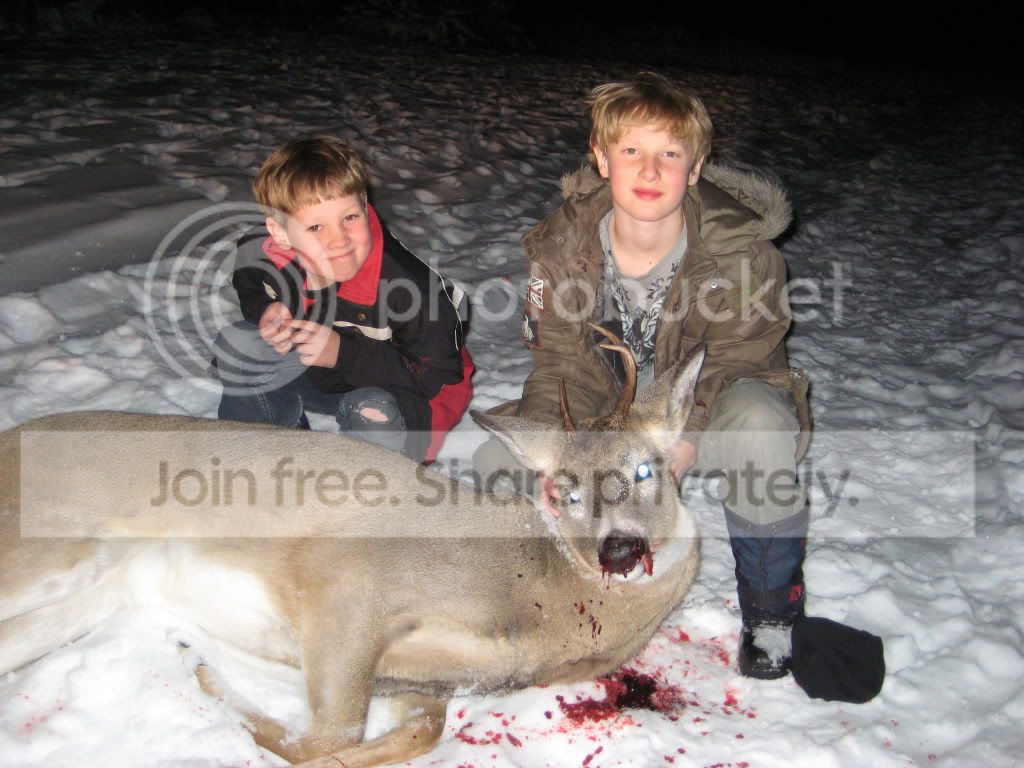 lastdeer3.jpg