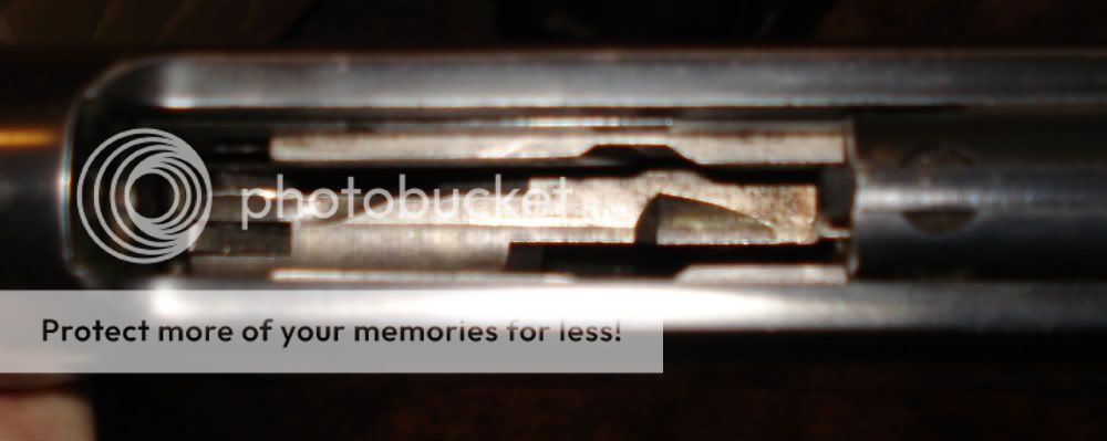 9430303.jpg