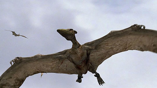Pterodactyl_MDSIMA20070322_0001_4_da3b.jpg