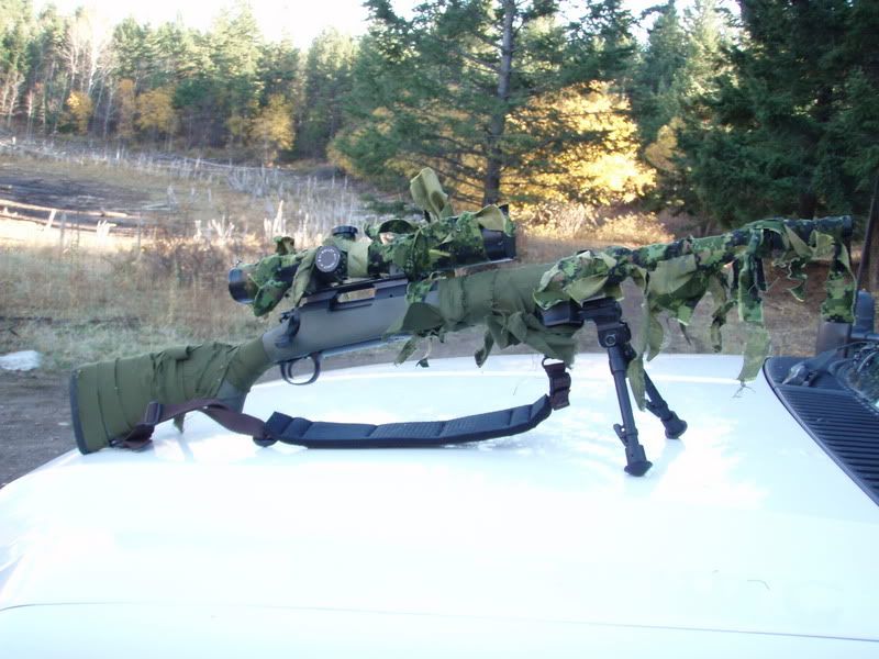 PA210339.jpg