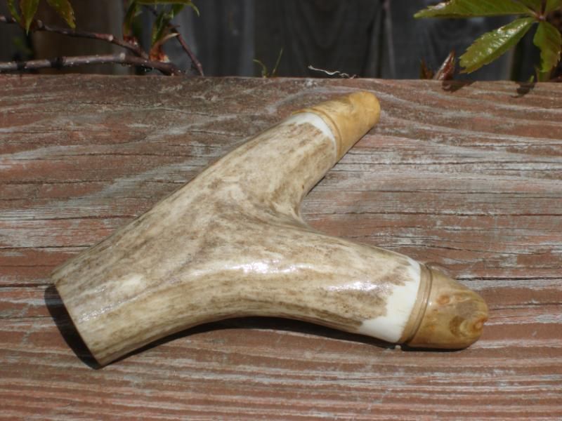 DSC03085.jpg