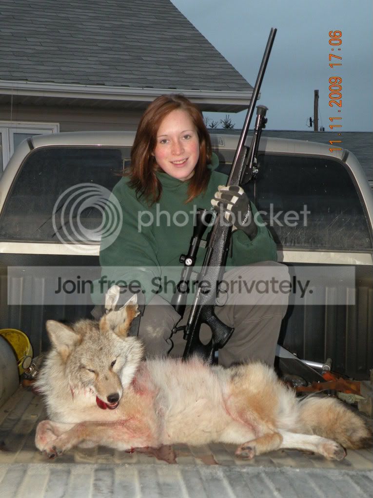 coyote308-1.jpg