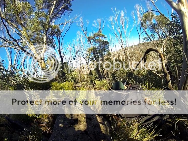 gopro%20setupshot.jpg~original