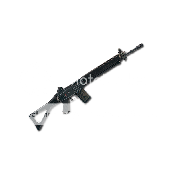 Swiss-Arms-SG-550-223-rem-600.png