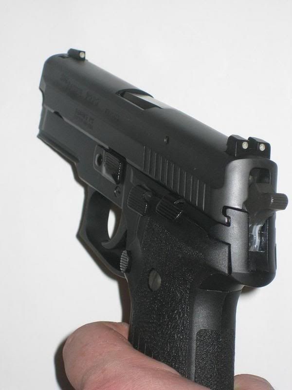SIG10.jpg