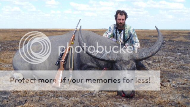 TrophyBuffaloedit.jpg~original