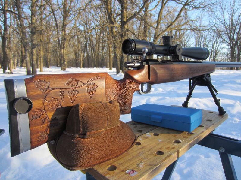 Lion%20sun_zpsbevnhyrt.jpg
