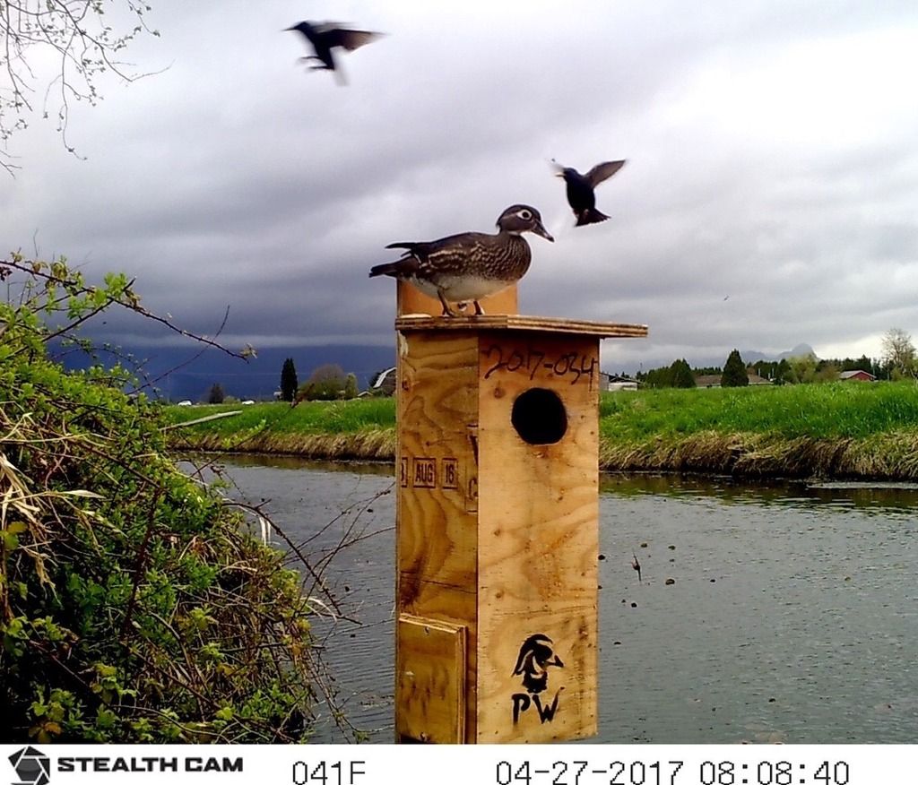 image_zps2p9mgehi.jpeg~original