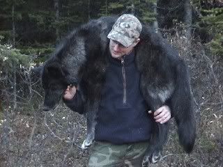 Noel_Wolf_002.jpg