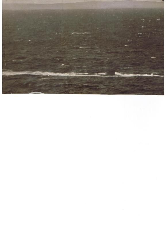 SUBINRIVER.jpg