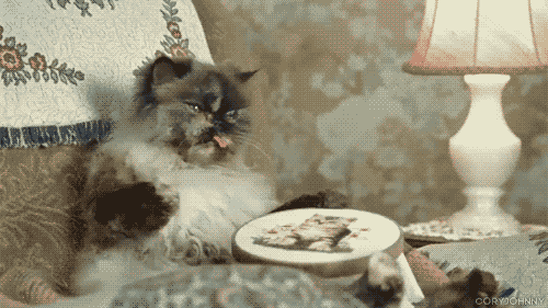 tumblr_lvfttwRhLi1r1093lo1_500.gif