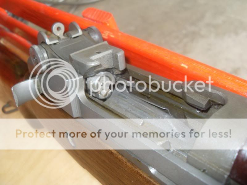 SDC16848.jpg