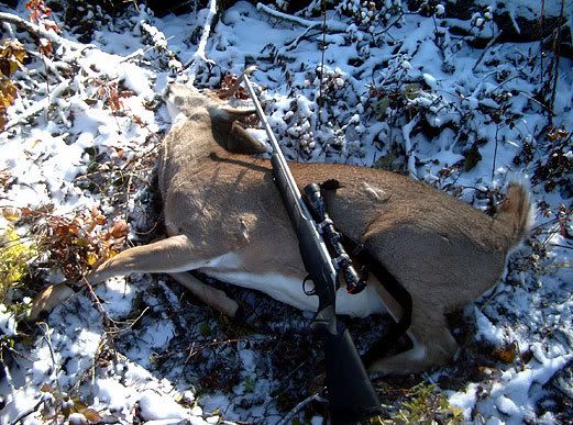 deerdown.jpg