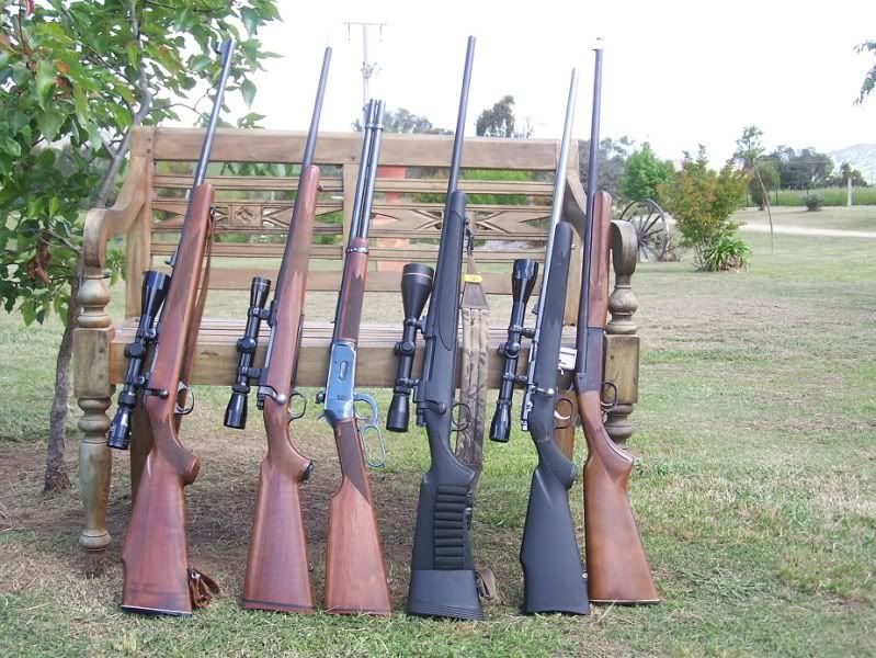 rifles2.jpg