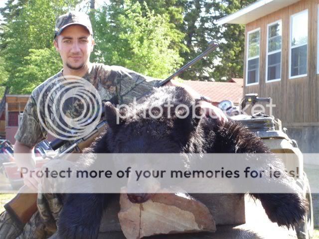 Bojan_s_bear_006.jpg