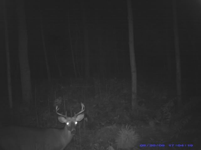PIC_0007.jpg