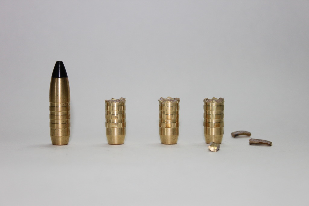 CEB-235gr-Raptor.jpg