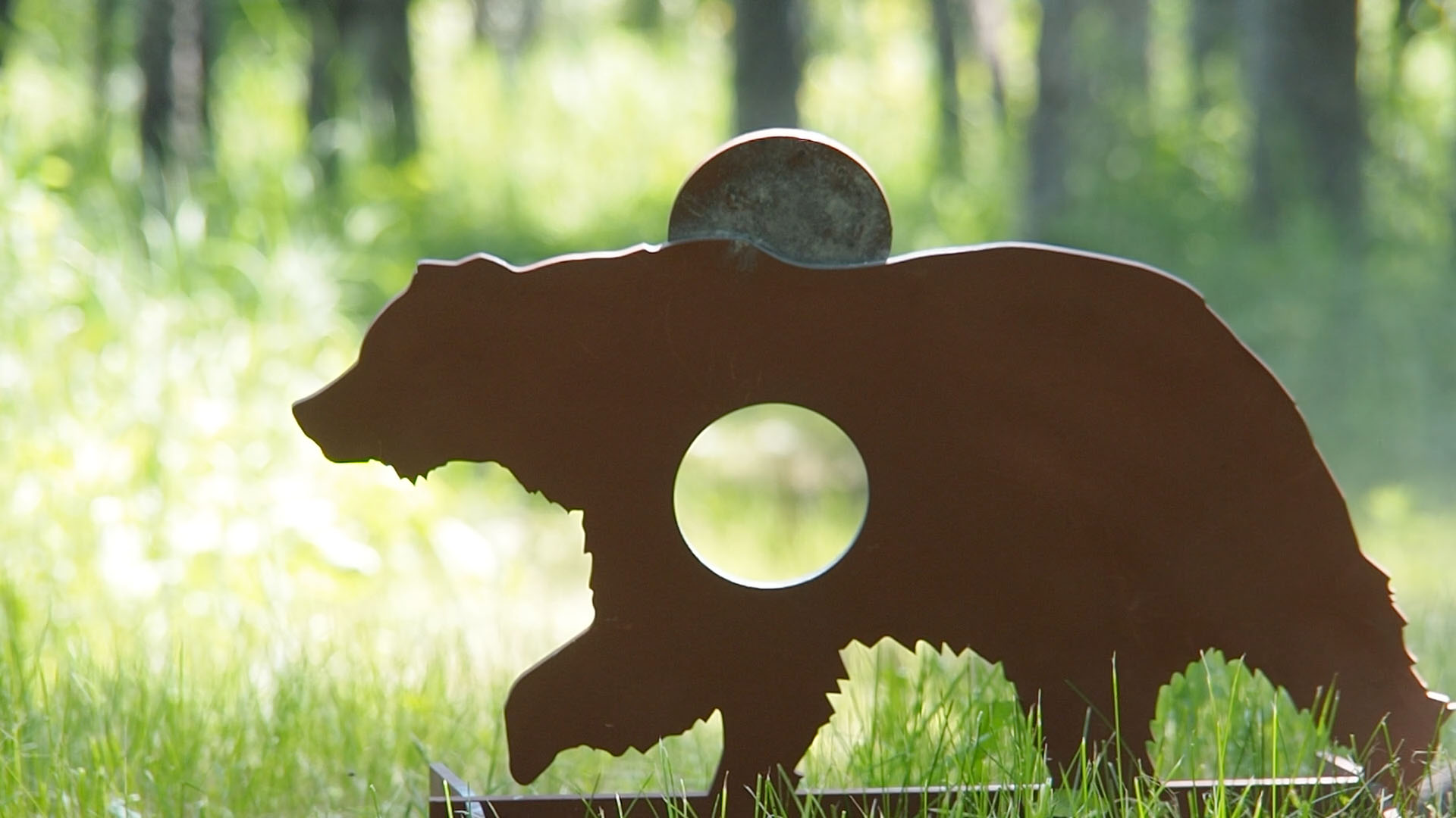 grizzly_c.jpg