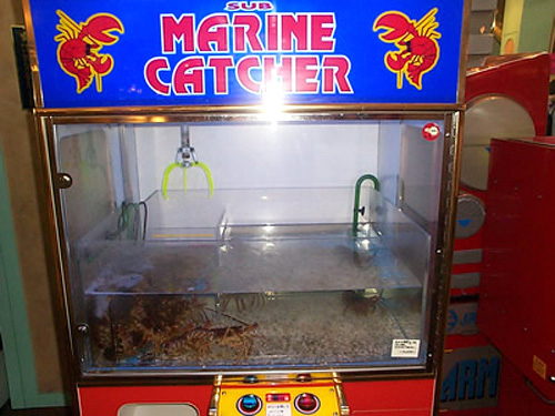 sub_marine_catcher.jpg