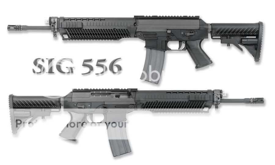 sig556_dual_lg2.jpg