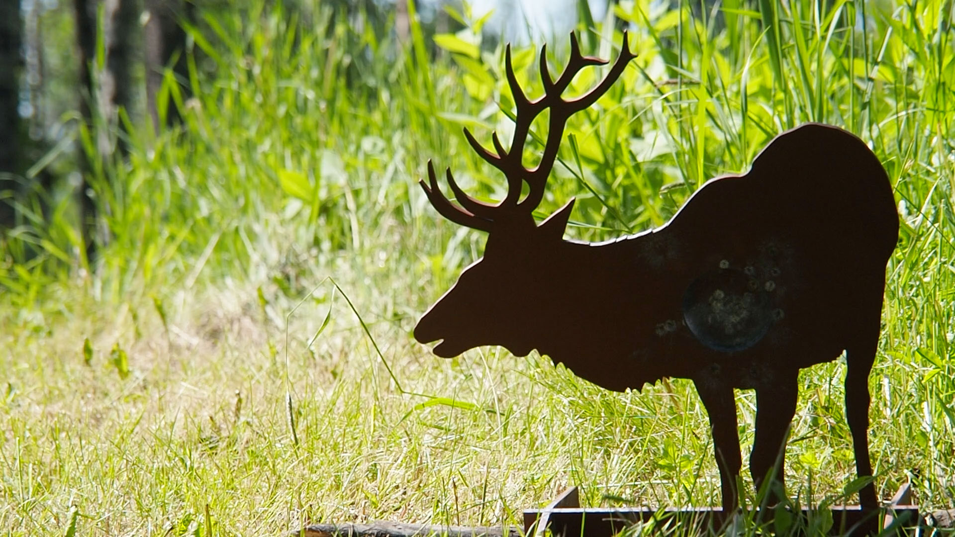 elk_bull_a.jpg