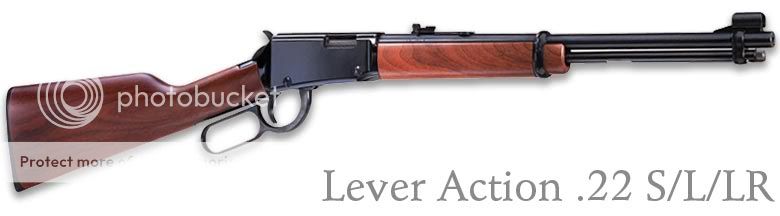 h001_leveraction_lg.jpg