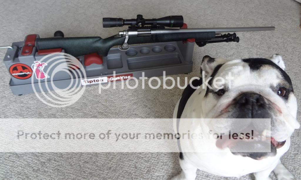 Remington5RandBulldog_zps054ea017.jpg