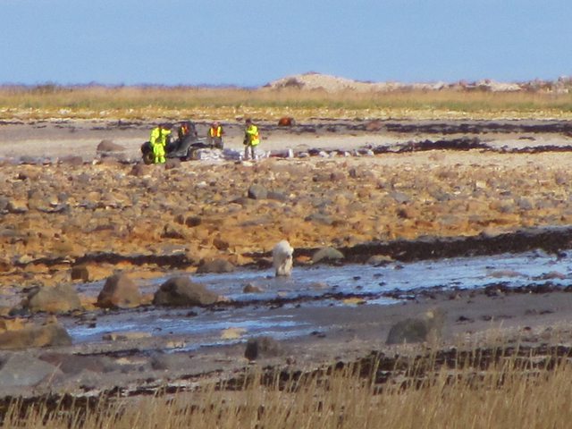 a9AZQ1Jl.jpg