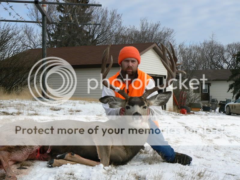 Mulie027.jpg