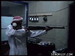 gun-control.gif