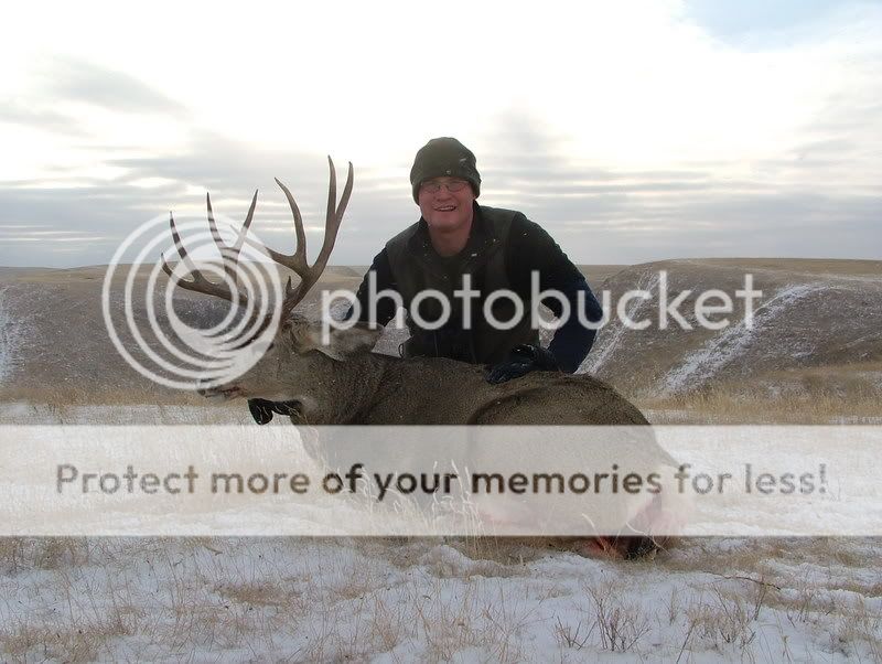 MuleDeer06025.jpg