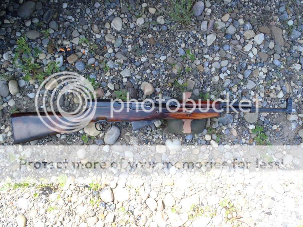 P6200005_zps10607b60.jpg