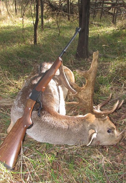 IMG_5240singleshotbuck.jpg~original