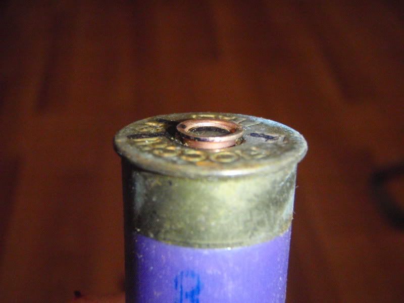 P9200024.jpg