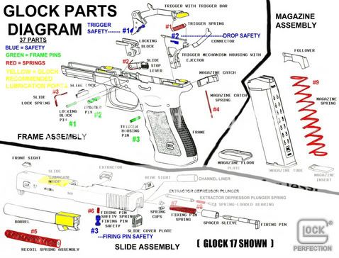 GLOCKDiagram.jpg