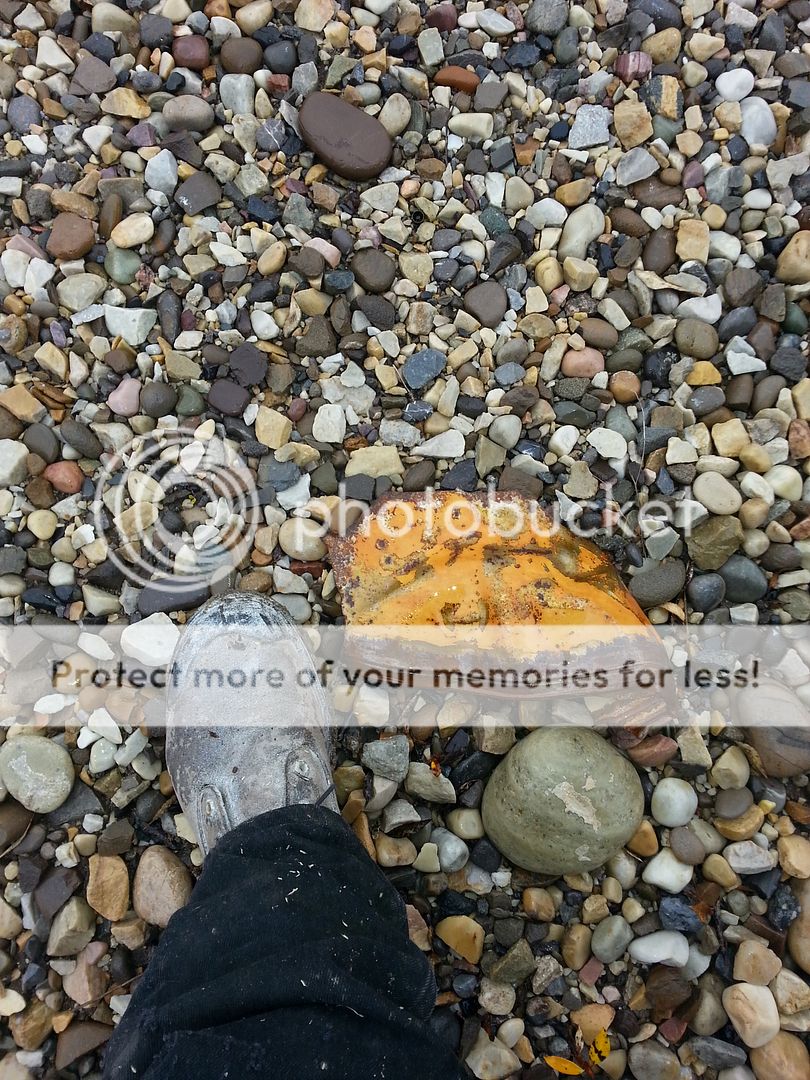 20151002_111102_zpssxtqrq0q.jpg~original