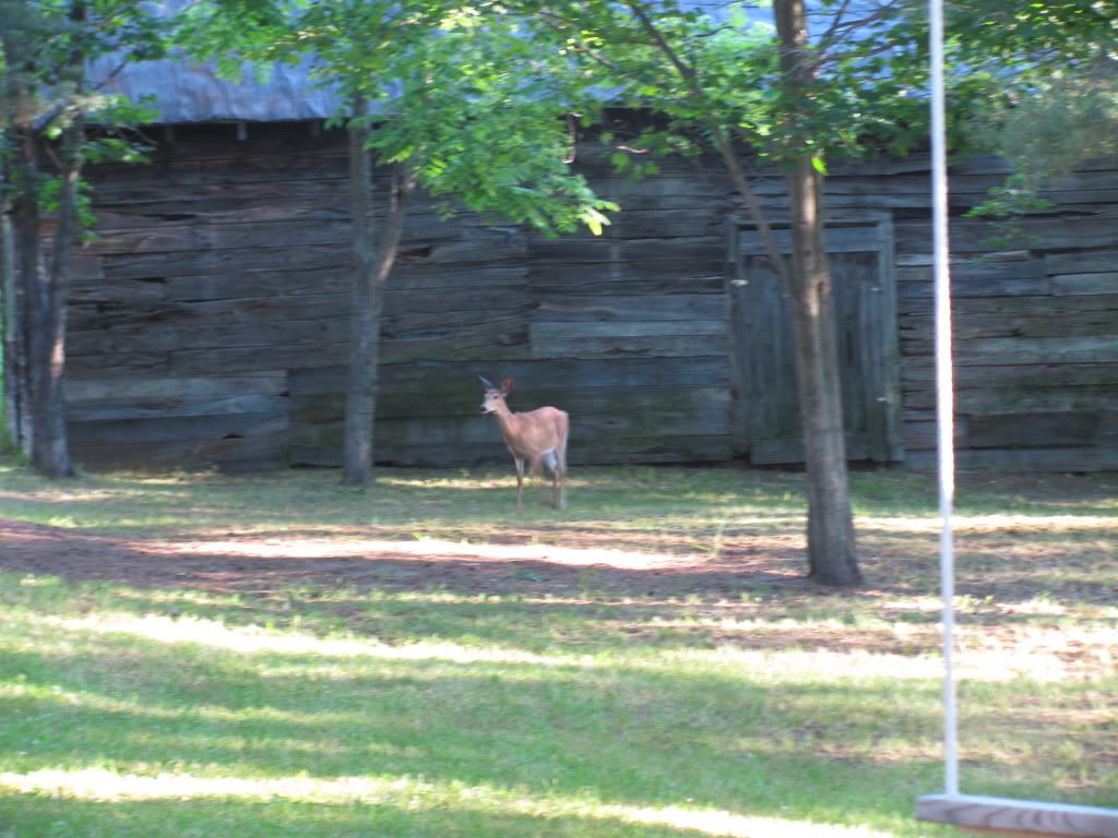 IMG_2325.jpg