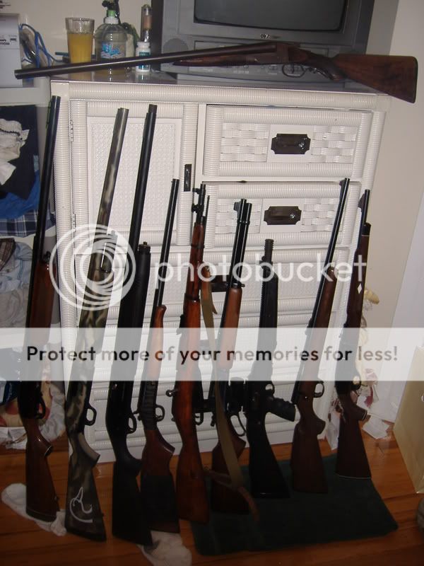 ImportedPhotos00203.jpg