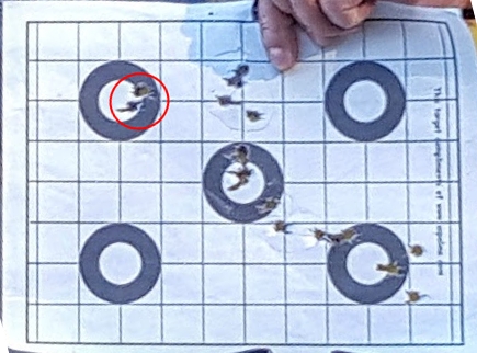 m14target.jpg