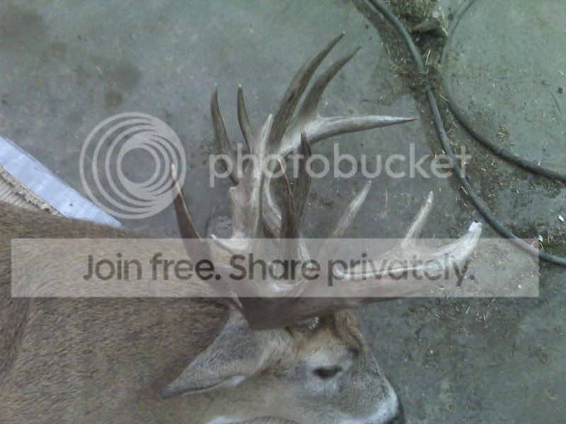 IMG00125.jpg