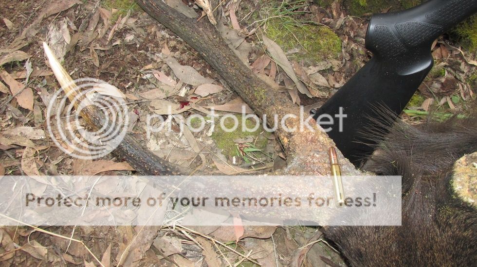 IMG_5383cartridge.jpg~original