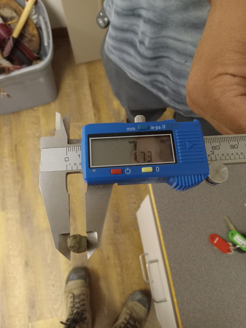 20230520-154026.jpg