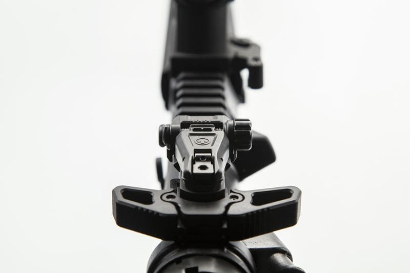 Magpul-MBUS-Pro-Rear-Rear.jpg