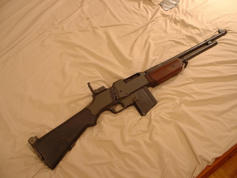 31699405.jpg