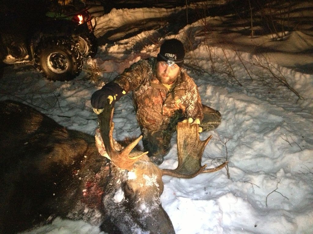 Moose.jpg