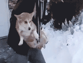 wwe-raw-20111222045350492.gif