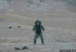 funny-gifs-cool-guys-dont-look-at-explosions.gif