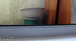 peeping_tom-298-1.gif