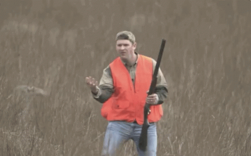 bird-catch.gif